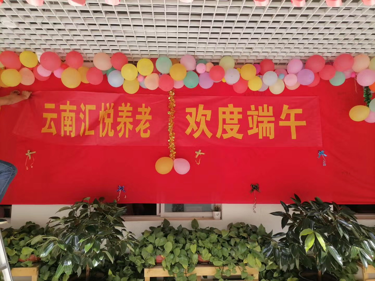 端午安康